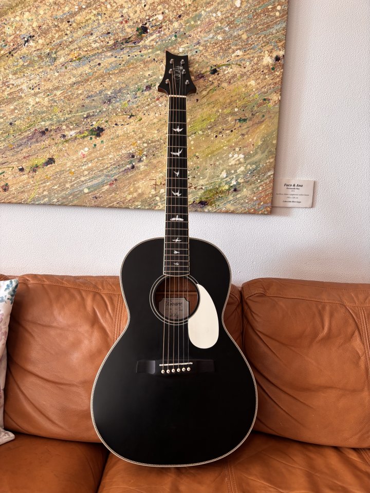 PRS SE p20e de segunda mano · Foto 1 de 10 · A Coruña · 295 €