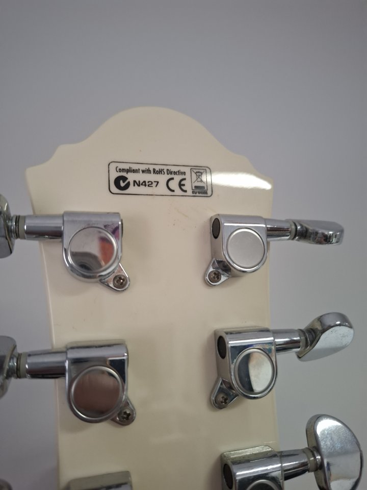 Ibanez DN500 con estuche Cibeles