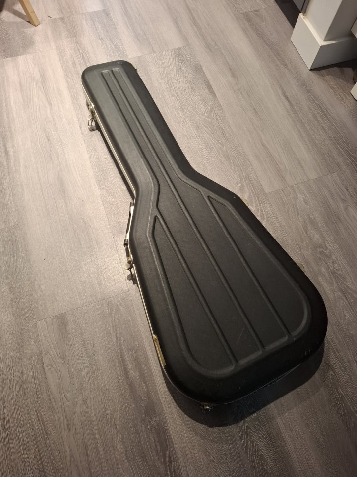 Ibanez DN500 con estuche Cibeles
