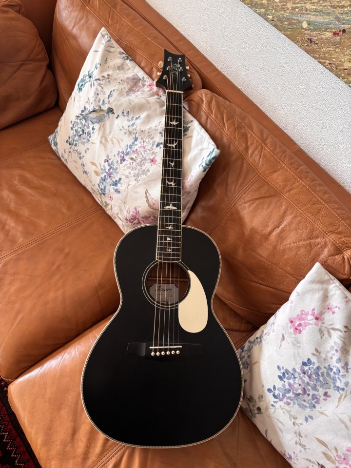 PRS SE p20e de segunda mano · Foto 3 de 10 · A Coruña · 295 €