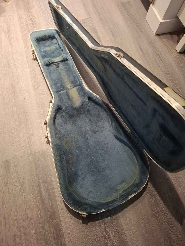 Ibanez DN500 con estuche Cibeles