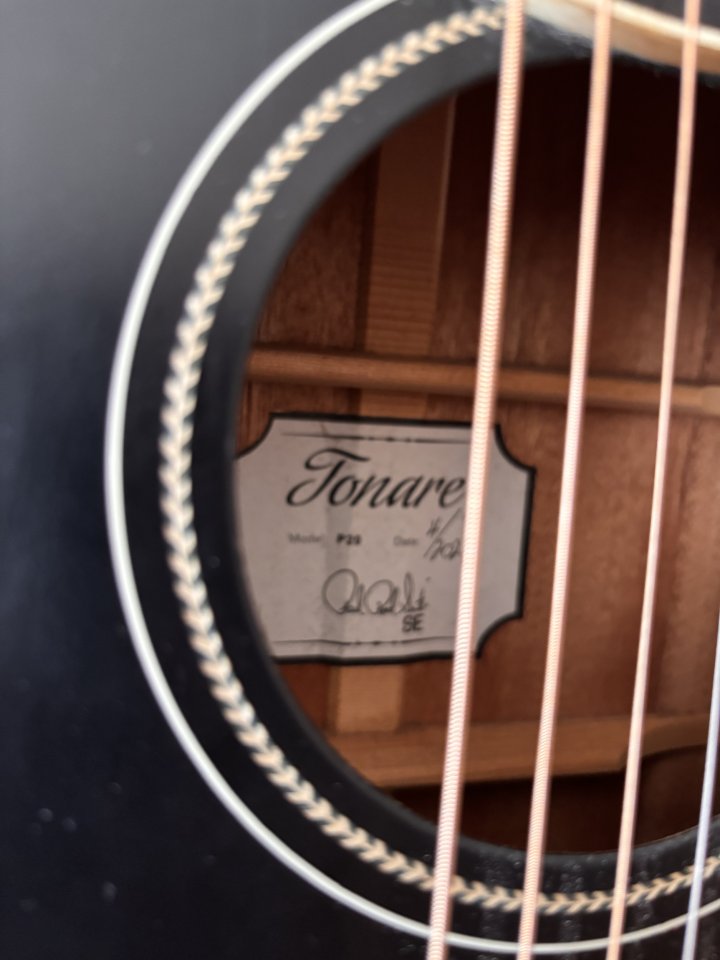 PRS SE p20e de segunda mano · Foto 5 de 10 · A Coruña · 295 €