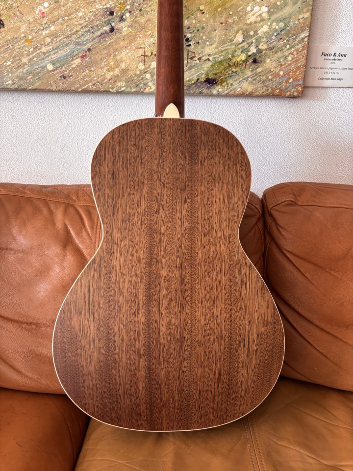 PRS SE p20e de segunda mano · Foto 7 de 10 · A Coruña · 295 €