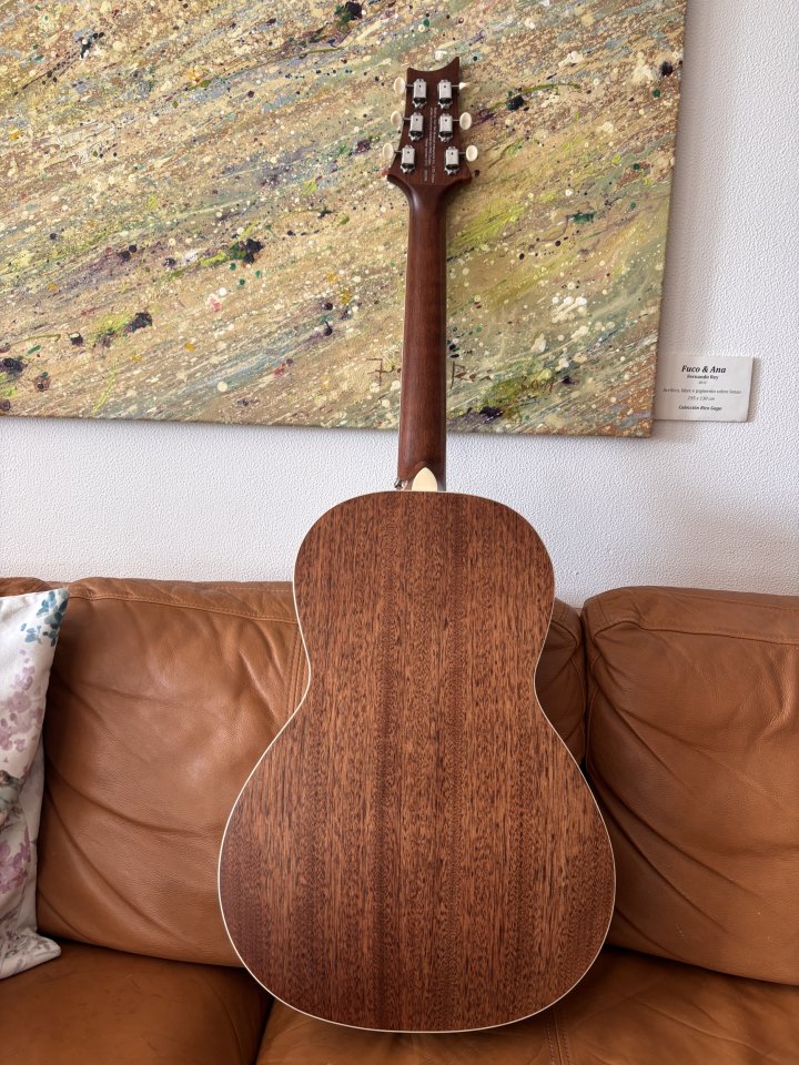 PRS SE p20e de segunda mano · Foto 8 de 10 · A Coruña · 295 €