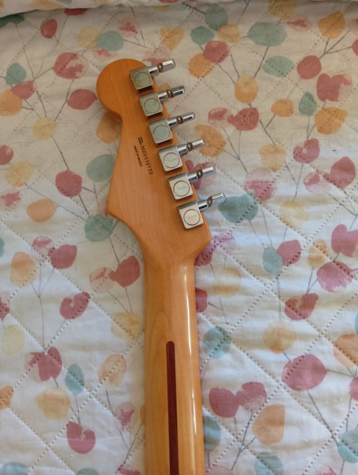 Fender stratocaster mexico
