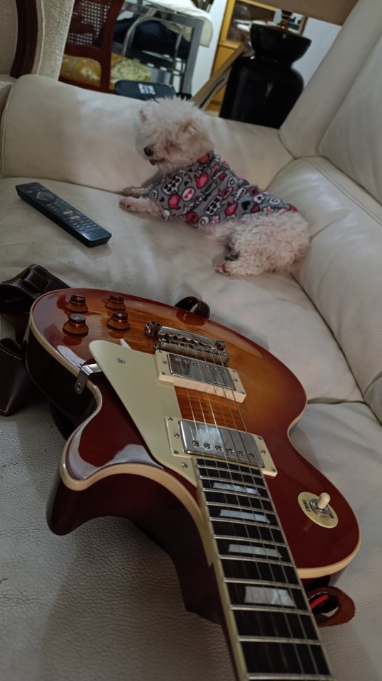 Maybach Lester 58 cherry lane de segunda mano · Foto 6 de 6 · Valencia · 1850 €