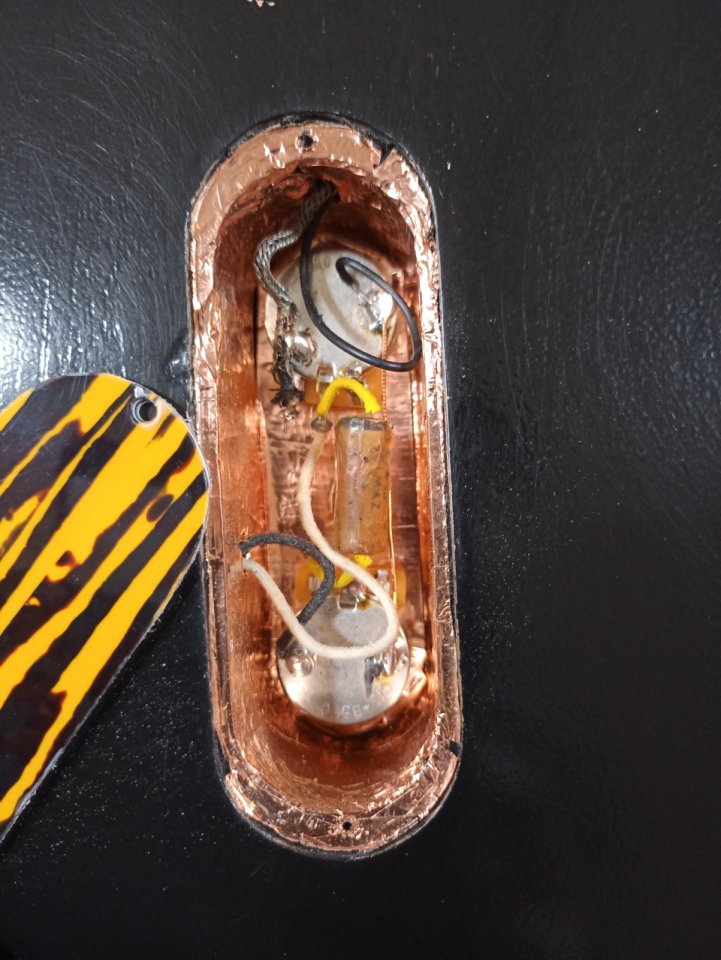 Les Paul junior de luthier fGuitars