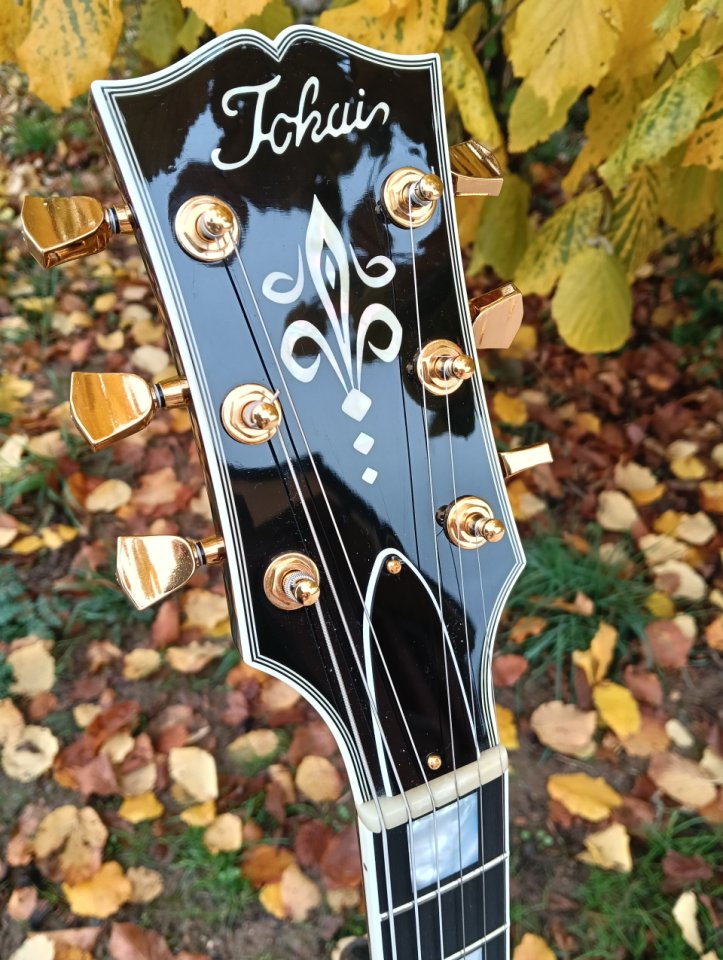 Tokai les Paul custom premium wr 235