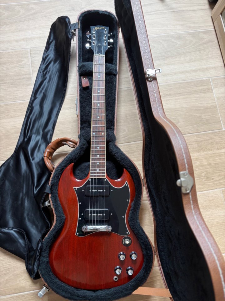 Gibson sg pete townshend signature 2001