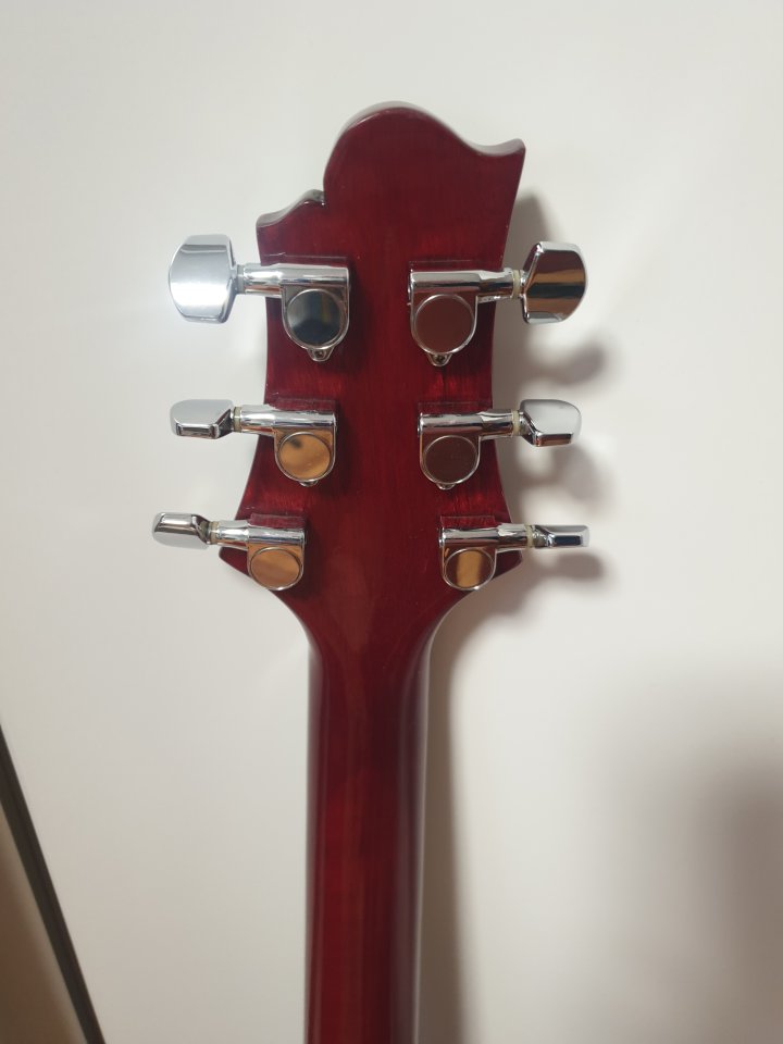 Samick Greg Bennett Torino tr-1 con Seymour Duncan