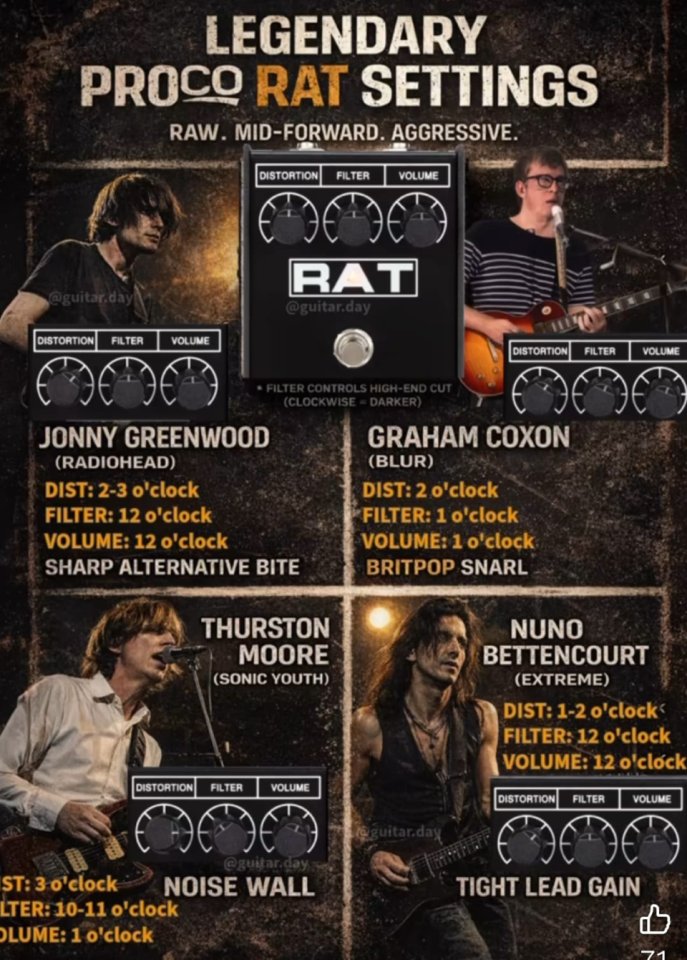 Pedal de distorsion rat