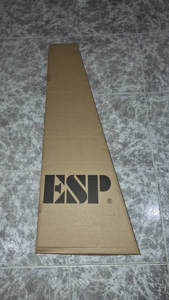 ESP LTD MT-130 Orange de segunda mano · Foto 8 de 10 · Guadalajara · 250 €