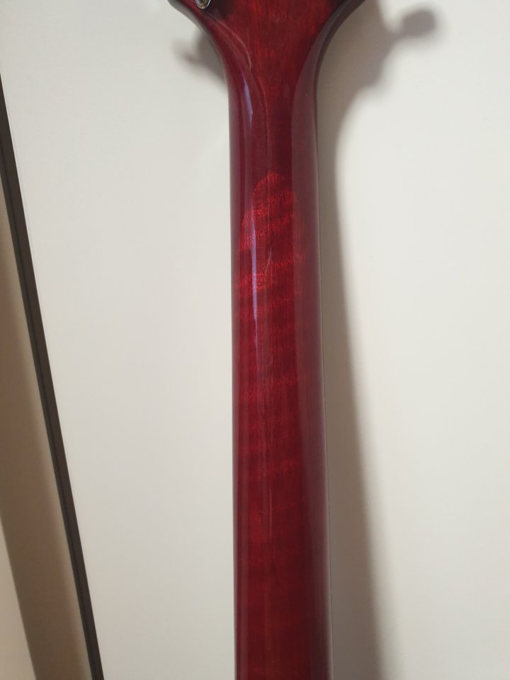 Samick Greg Bennett Torino tr-1 con Seymour Duncan