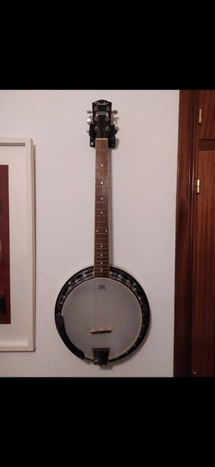 Banjo de 6 cuerdas Fender