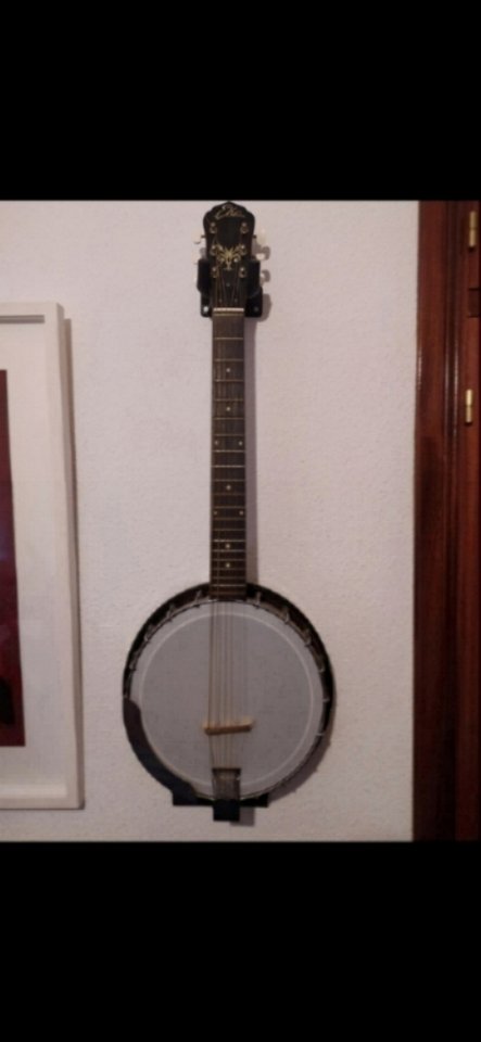 Banjo de 6 cuerdas