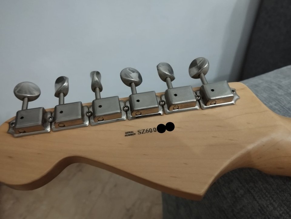 Fender Stratocaster Eric Clapton Blackie