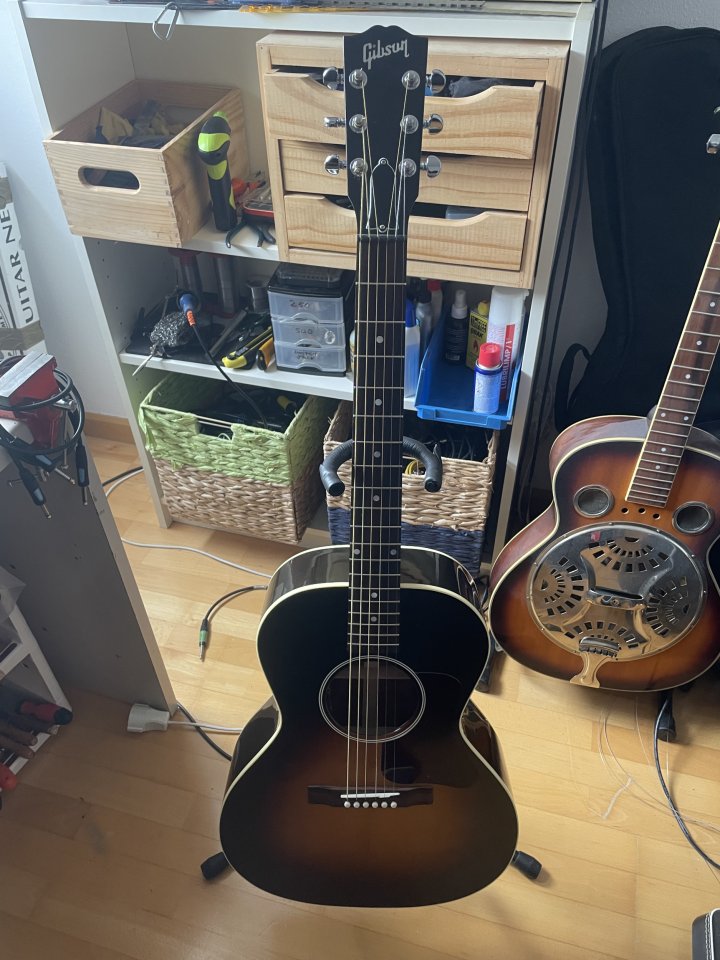 GIBSON L00 standard vs limited