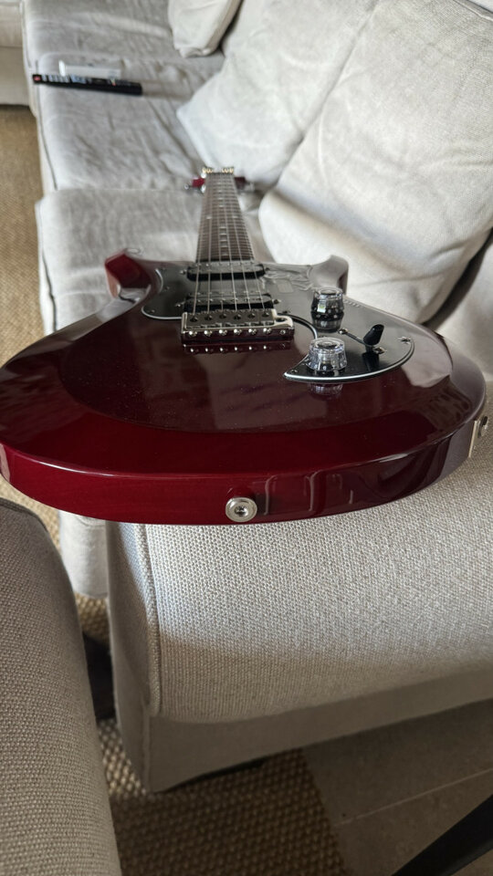 Guitarra PRS Standard  S2