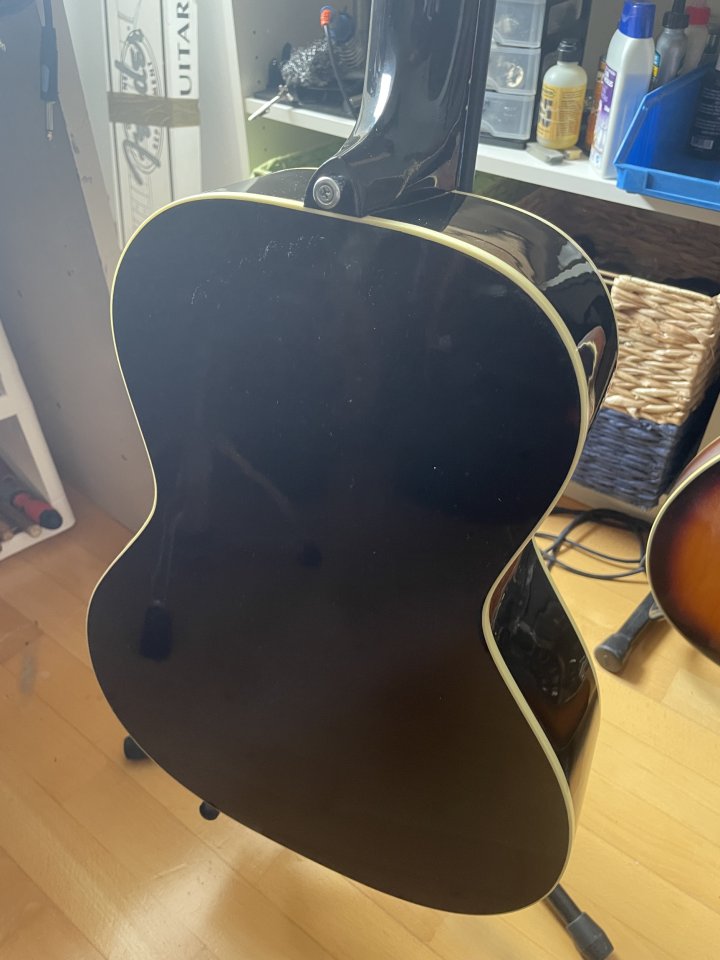GIBSON L00 standard vs limited