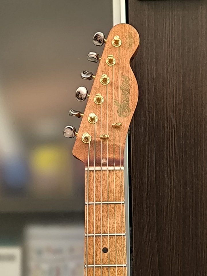 Telecaster Santos Guitars Custom Assembly 2018