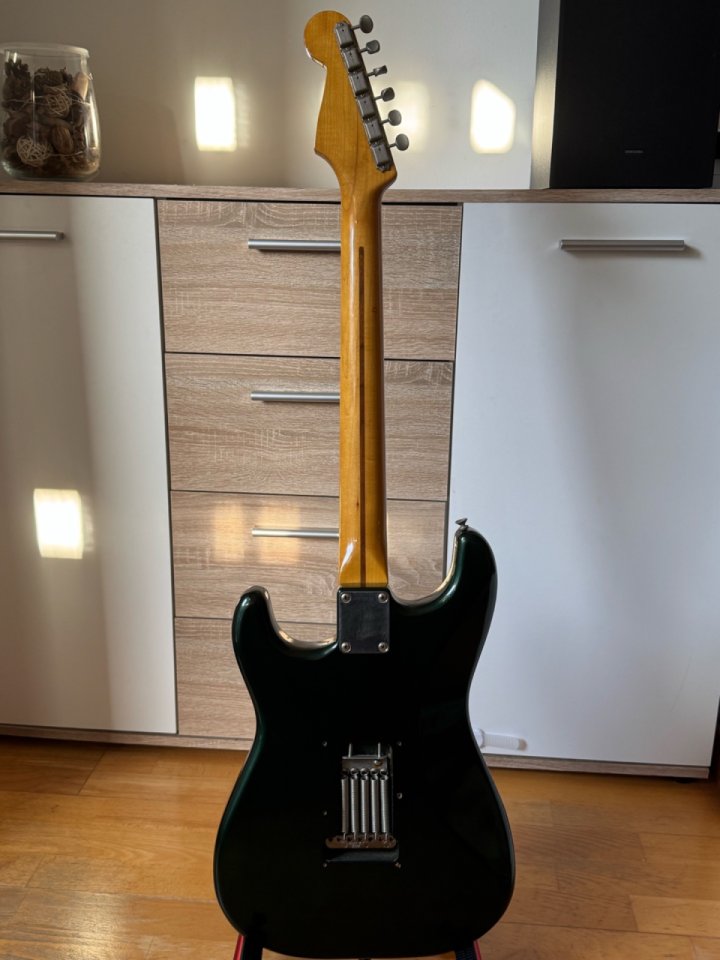 Tokai Springy Sound 1981 Metallic Green original