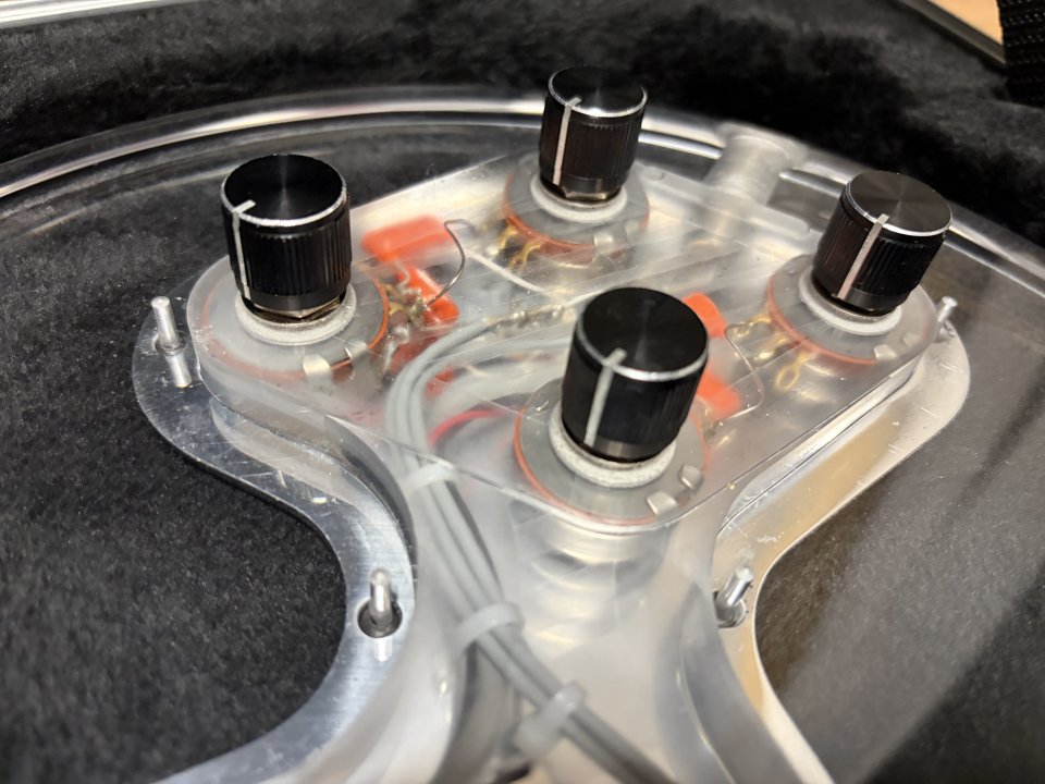 Electrical Guitar Company EGC Standard King Buzzo