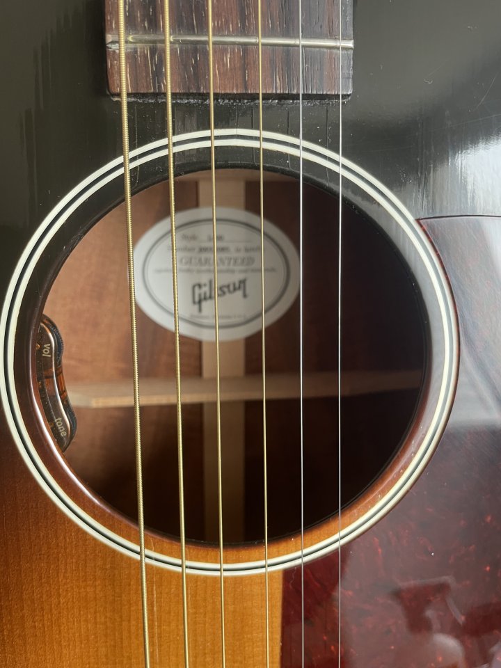 GIBSON L00 standard vs limited