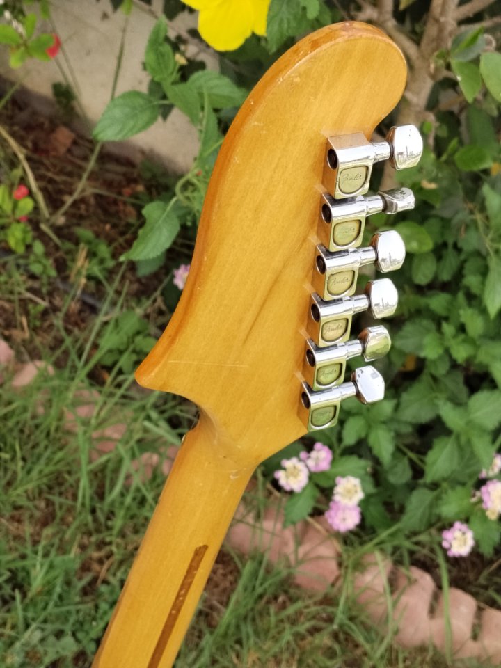 Fender Starcaster 1976 Sonic Blue de segunda mano · Foto 6 de 9 · Málaga · 3800 €