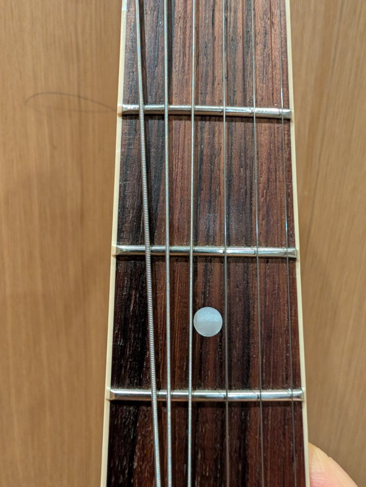 Gibson Les Paul Special Rick Beato Double Cutaway