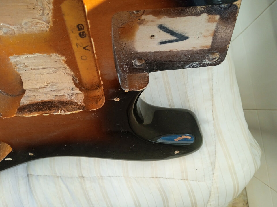 cuerpo strato tokai 83