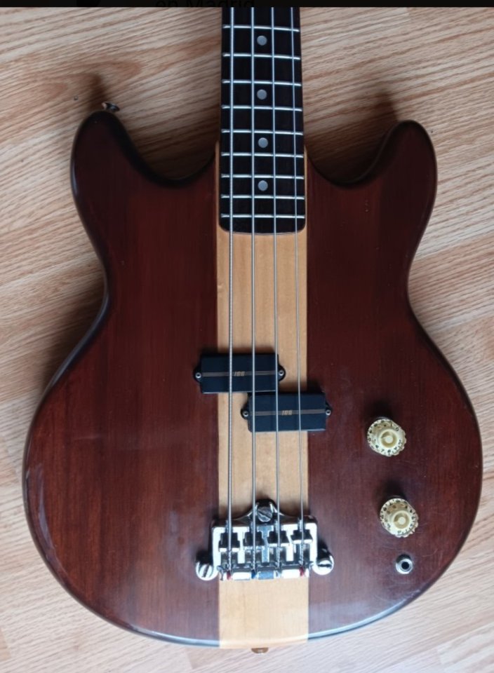Bajo Electrico Vantage VS600B