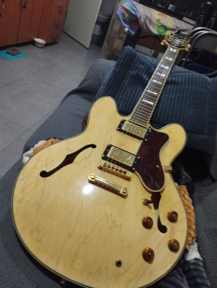 Epiphone Sheraton II de segunda mano · Foto 1 de 6 · Granada · 720 €