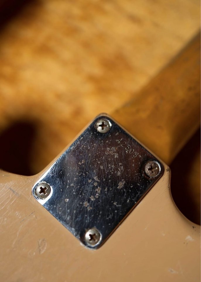 1959 Fender Music Master Desert Sand de segunda mano · Foto 5 de 10 · Valencia · 3900 €