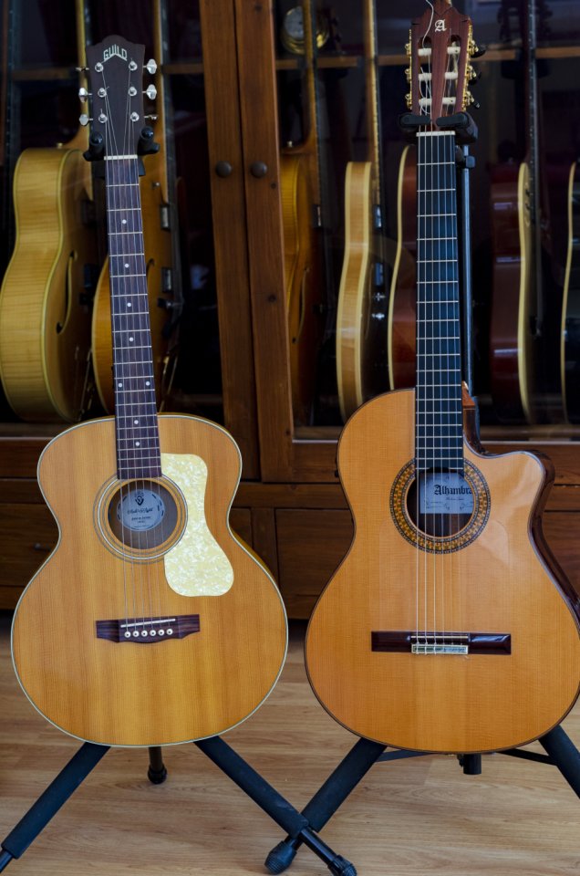 Guild Jumbo Junior Maple - Escala corta