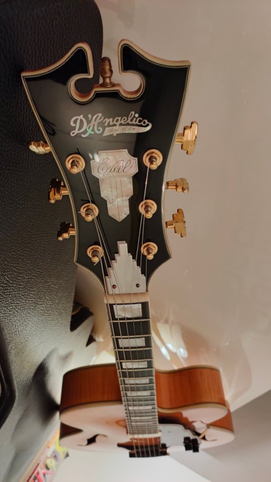 D'Angelico Excel Exl-1