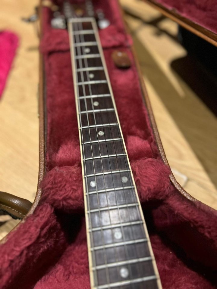 Gibson ES 335 noventera