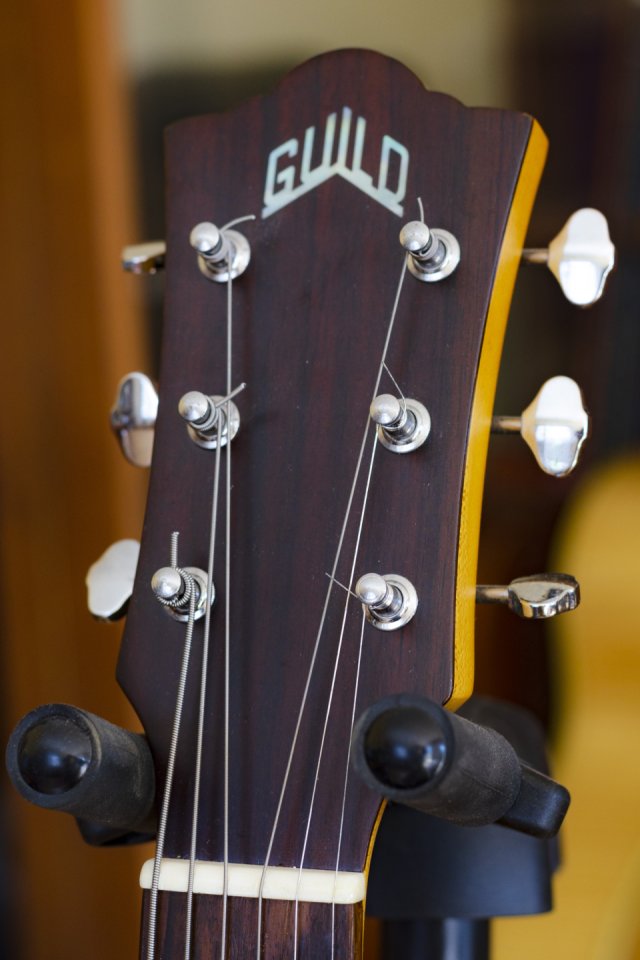 Guild Jumbo Junior Maple - Escala corta