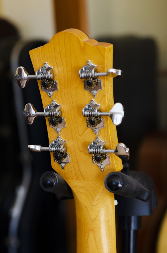 Guild Jumbo Junior Maple - Escala corta