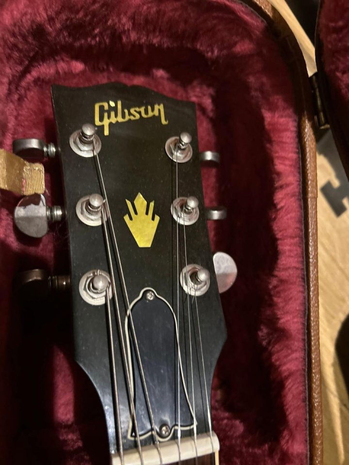 Gibson ES 335 noventera