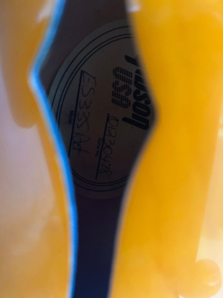 Gibson ES 335 noventera