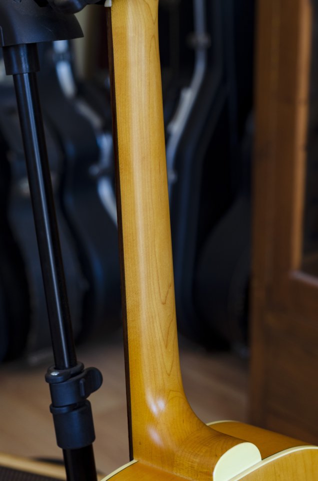 Guild Jumbo Junior Maple - Escala corta