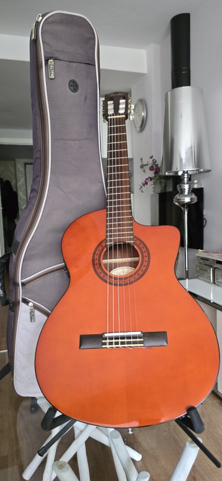 Guitarra electrificada clasica Fender de segunda mano · Foto 1 de 10 · Madrid · 190 €