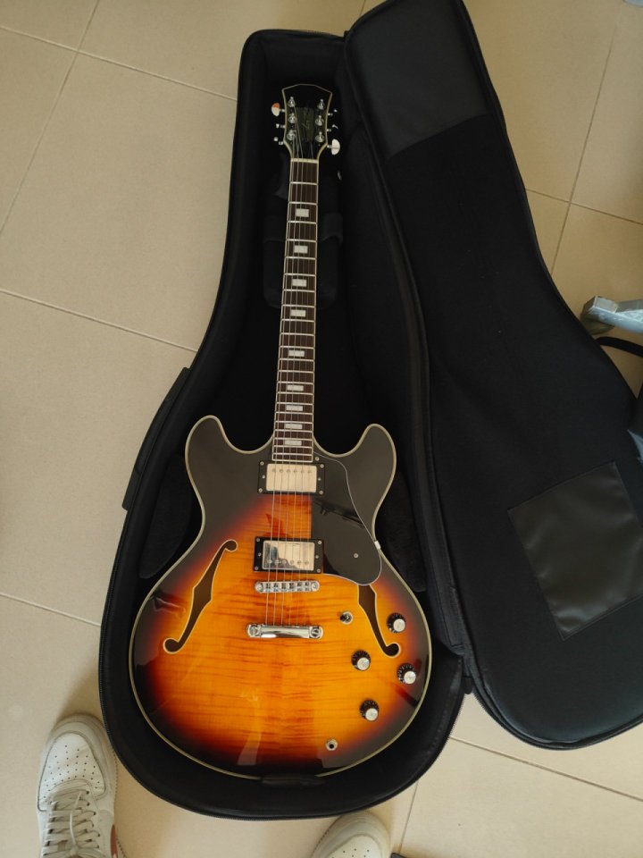 Larry Carlton H7 de segunda mano · Foto 2 de 7 · Girona · 400 €