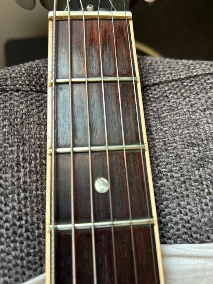 Gibson ES 335 noventera