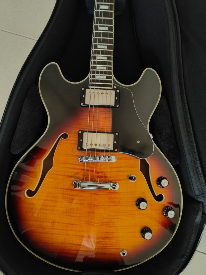 Larry Carlton H7 de segunda mano · Foto 3 de 7 · Girona · 400 €