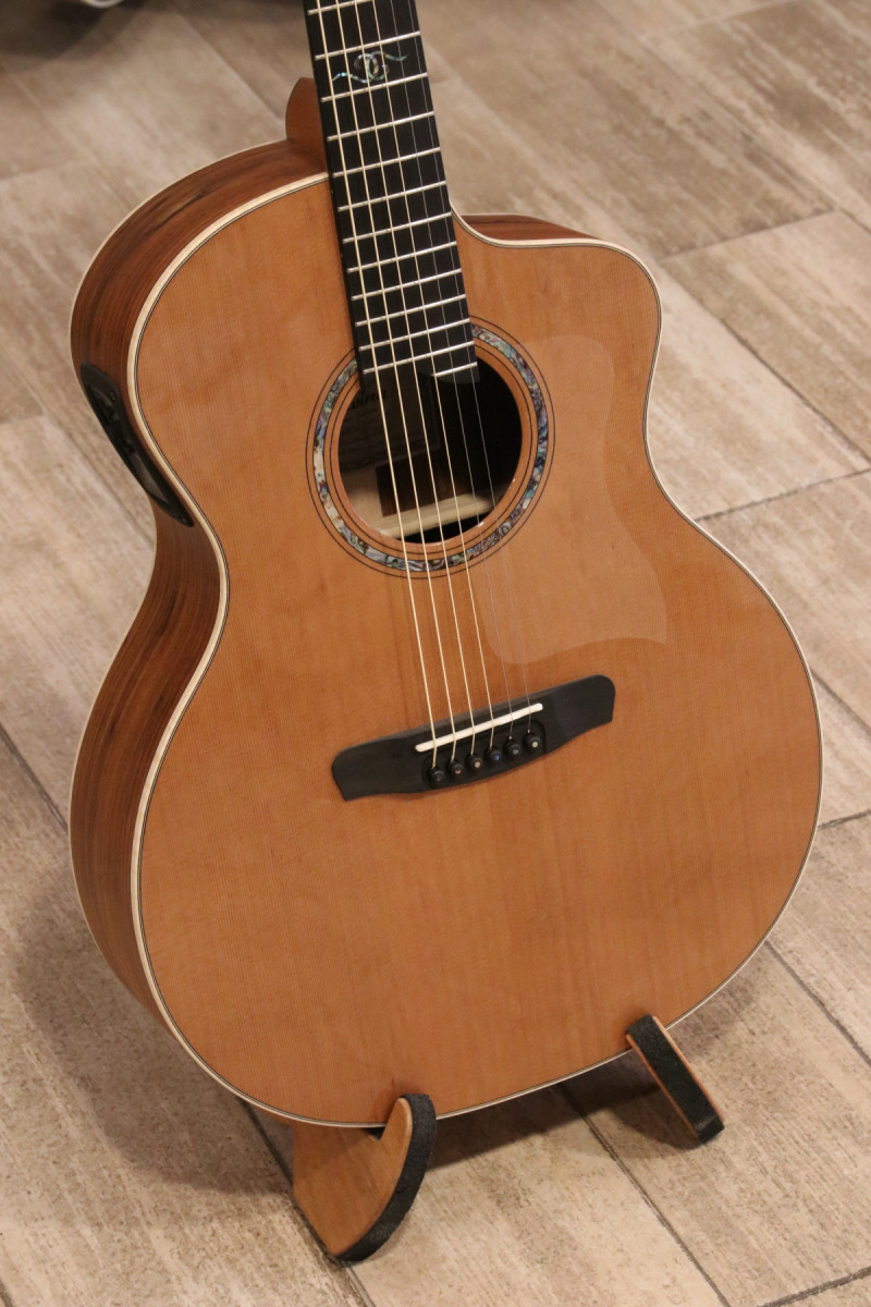 Guitarra Acústica DOWINA Master Series Granadillo - ARTESANIA EUROPEA de  segunda mano por 1790 € en Zaragoza | Guitarristas.info