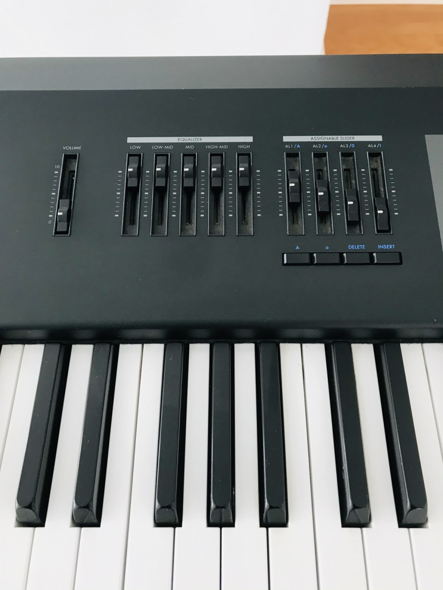 SG Pro X de segunda mano por 350 € en Córdoba Hispasonic