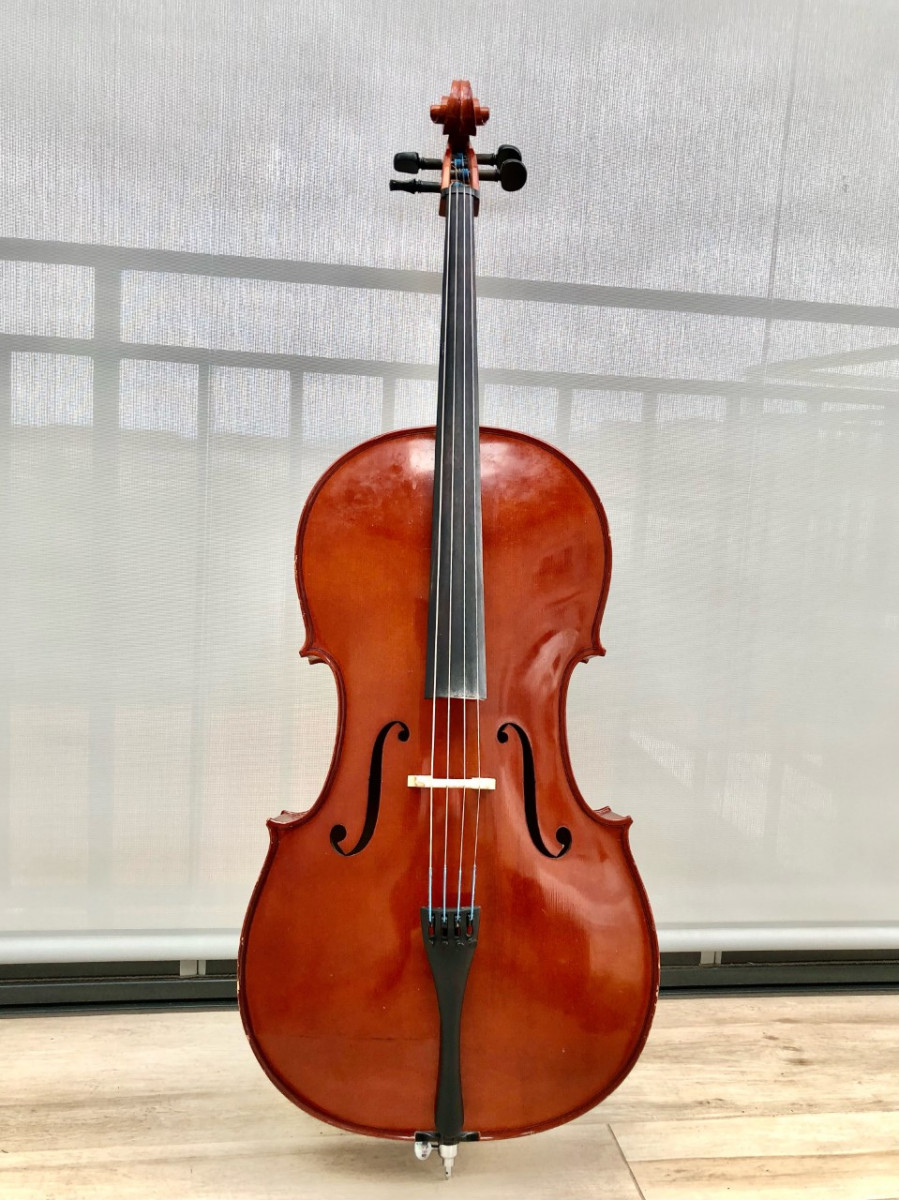 Violonchelo 4/4 Modelo Gliga Genial II de 2018 de segunda mano por 985 € en  Araba | Hispasonic