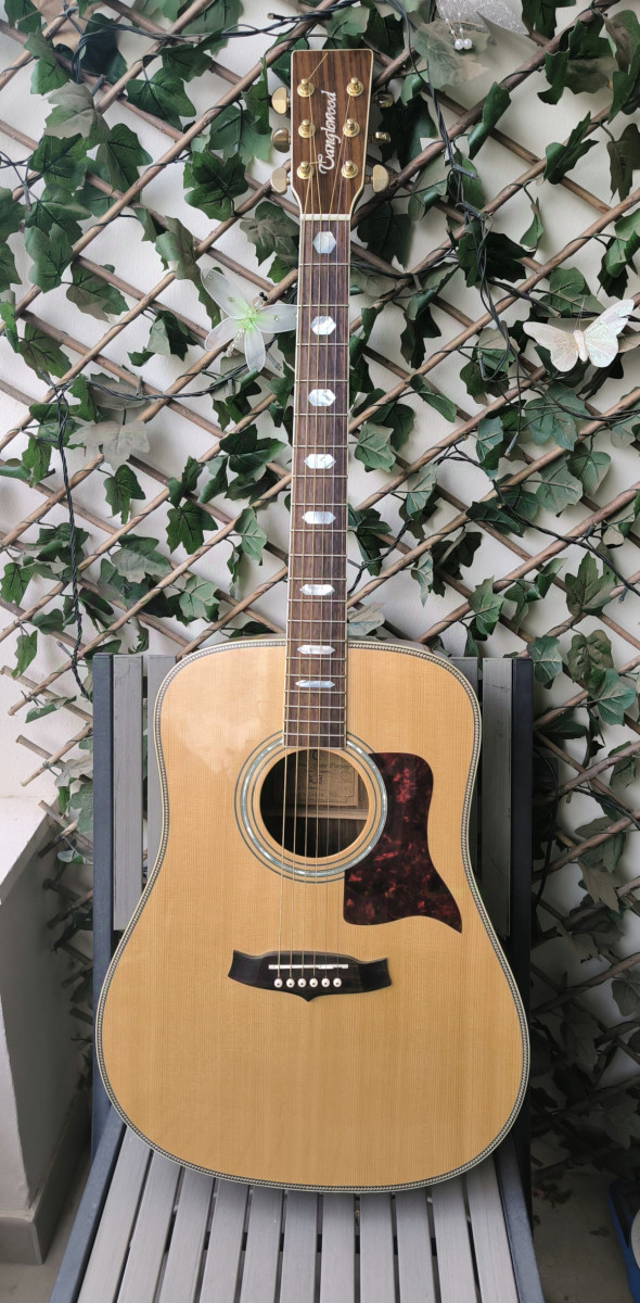 Tanglewood tw1000n hotsell