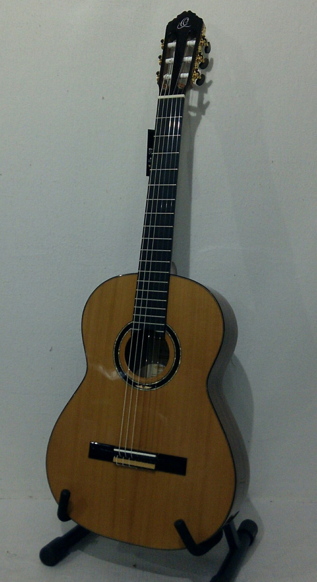 🤩 Mejores guitarras electricas gama media para 2022 - TecnoManiaticos